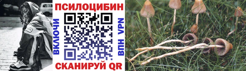 Галлюциногенные грибы Cubensis  хочу   мега вход  Моршанск 