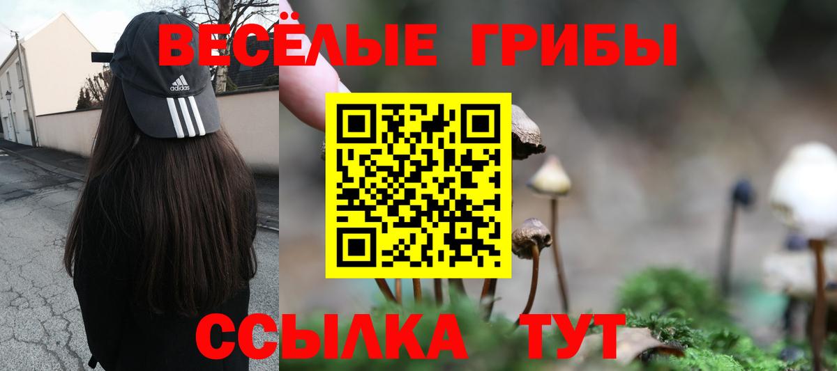 Галлюциногенные грибы Cubensis  Вход с VPN  Моршанск 