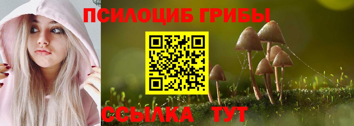 Галлюциногенные грибы GOLDEN TEACHER Моршанск